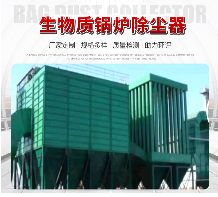 生物质<strong>锅炉除尘器</strong>